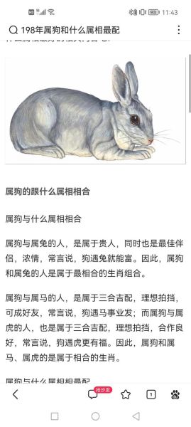 生肖狗跟哪个属相（生肖狗和哪个属相最配）