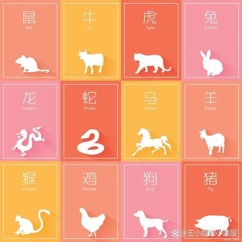 光武是什么生肖属相(光武皇帝属什么生肖?新手1分钟看明白)