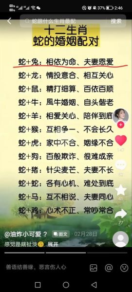 生肖的最佳配偶属相（属蛇的最佳配偶属相）