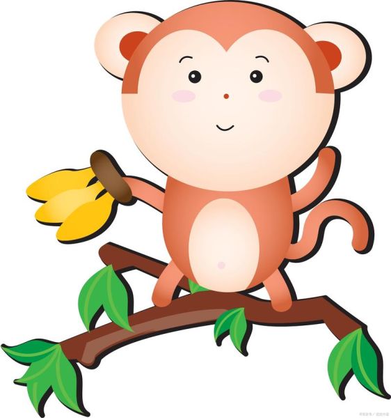 猴子属相代表什么生肖