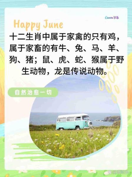 与鸡相邻的生肖属相