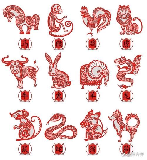 国字最佳生肖属相图片（国字生肖属相最佳配图素材哪里找）