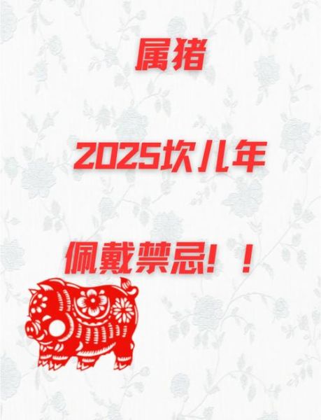 上热门生肖属相标题（2025年属猪人上热门转运指南）