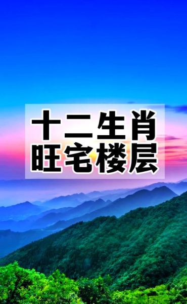 生肖属相如何选择楼层(生肖选楼层怎么选?2024最全入门指南)