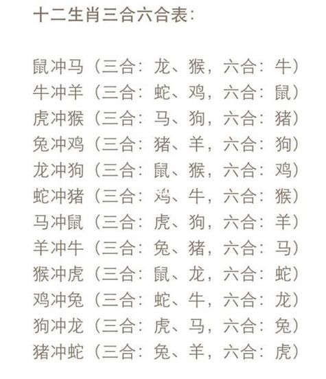猪生肖和什么属相（猪生肖和什么属相最配？一文看懂冲合🐷）