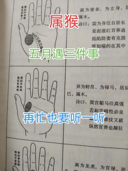 猴年生肖相克属相（猴年忌配属相新手避坑指南）