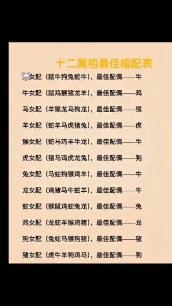 96年什么生肖属相（96年属什么生肖？新手秒懂版）