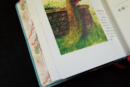 日历如何查看生肖属相（手机查看生肖属相最简单方法）