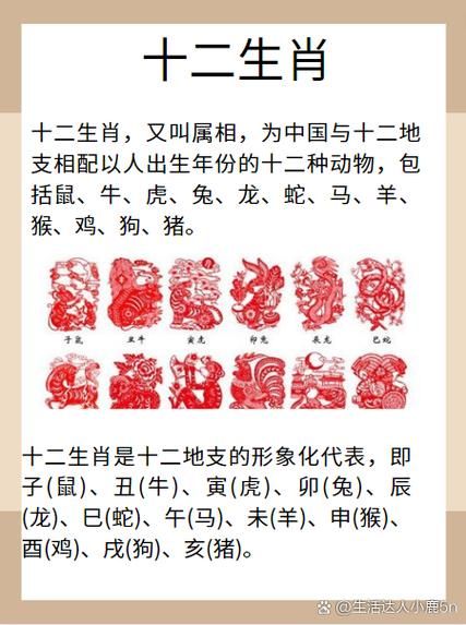 校园有哪些生肖和属相（校园生肖代表什么动物）