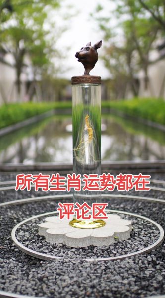 生肖属相 抖音(抖音生肖运势爆款怎么拍?小白7步入门)