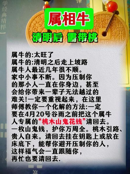 97年属什么生肖属相