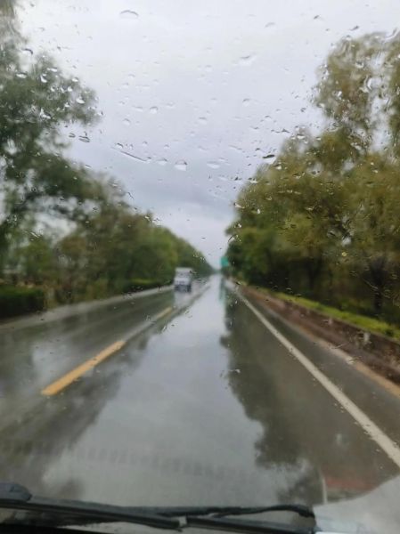 曹孟什么生肖属相(曹孟什么生肖?一文看懂真相💡)