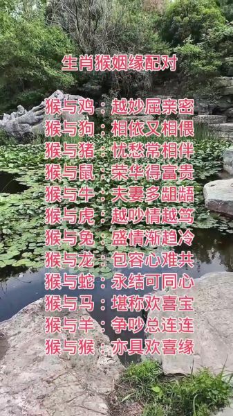 与生肖猴相配的属相（生肖猴最配属相是哪一位）