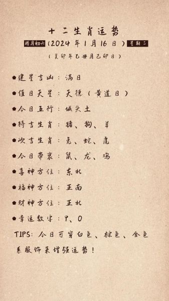 今年十二生肖属相运程（2024年十二生肖运势查询指南新手版）