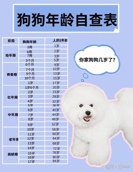 十二生肖属相狗几岁（属狗的年份表及对应年龄速查）
