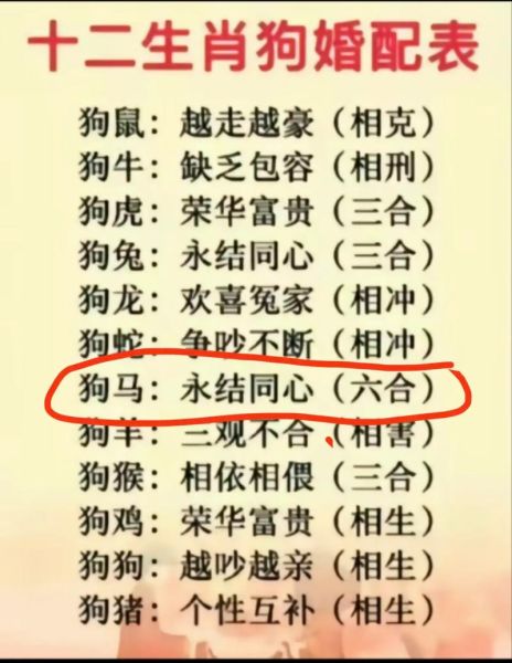 狗搭配的生肖属相(狗和哪些属相最配 🐶❤️)