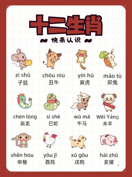 孩子对应生肖属相（孩子属什么生肖怎么算最准）