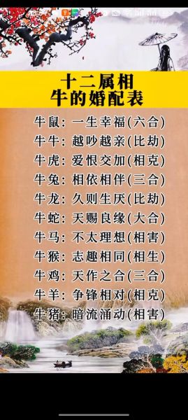 牛最佳生肖属相配对（牛最佳生肖配对表）