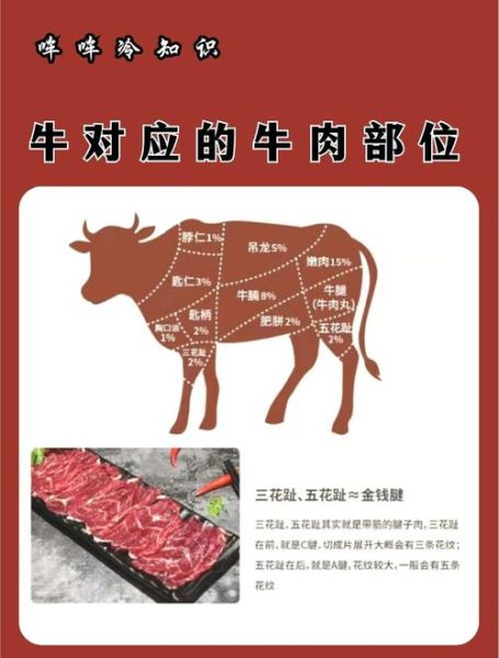 属相生肖吃肉忌（属牛的人可以吃牛肉吗）