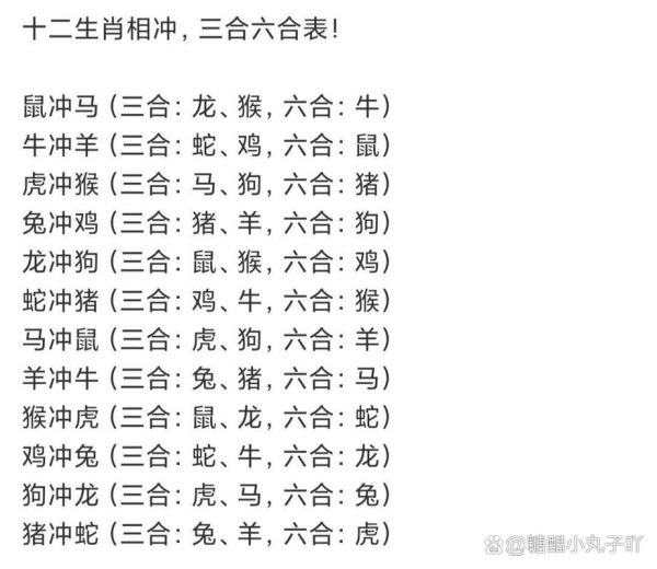 其它属相不合的生肖（属鼠的跟哪些生肖不合？）