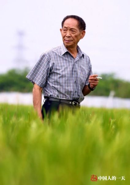 袁隆平爷爷什么生肖属相（袁隆平爷爷属什么生肖？新手一看就懂）