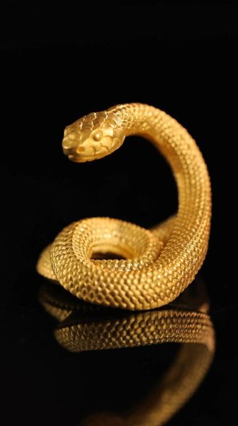 属相金蛇怕什么生肖