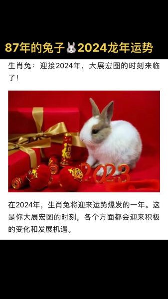 87年什么属相什么生肖（1987年属兔的今年多大）