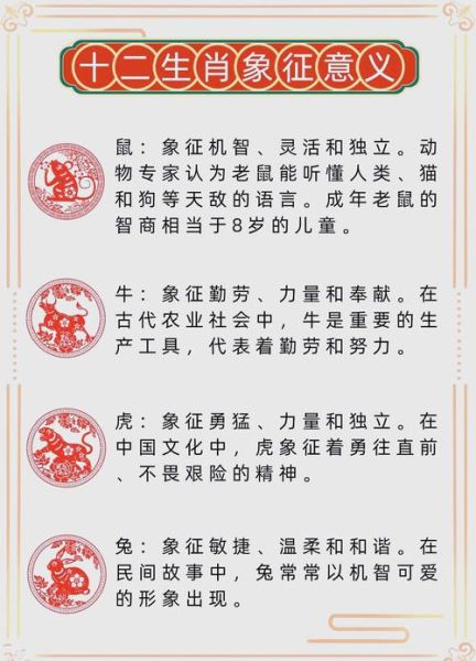 小龙属相12生肖（小龙属相12生肖性格特点）
