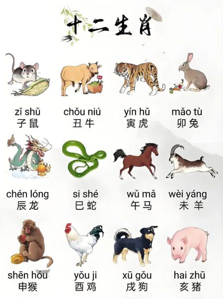 文丑属什么生肖属相(文丑属什么生肖属相揭秘)