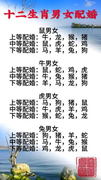 属相十二生肖最配（十二生肖最配的属相指南）