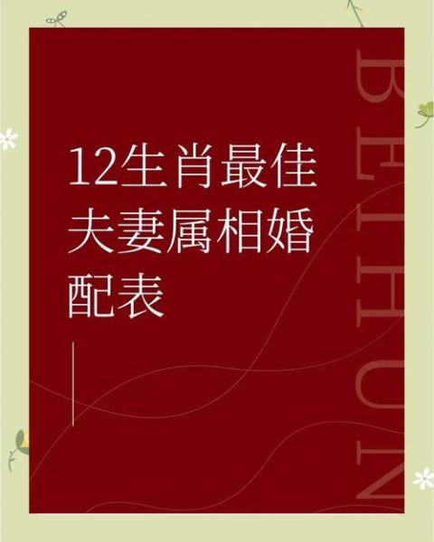男女最佳婚配生肖属相（男女最佳婚配生肖有哪些）