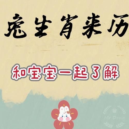 兔年儿童生肖属相（兔年宝宝属什么生肖？新手爸妈必看）