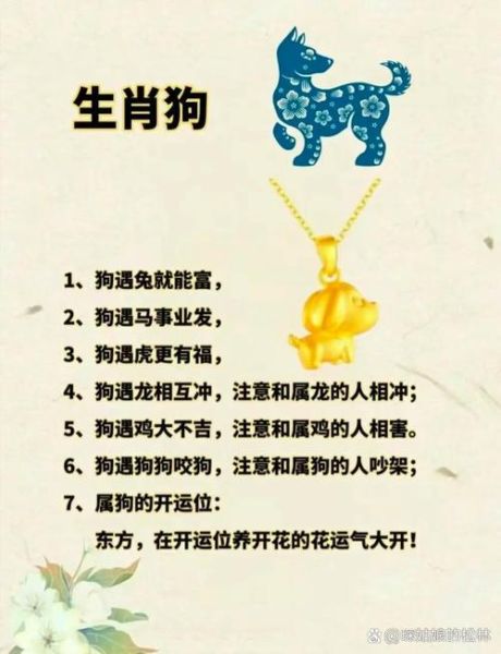 猪狗属相合什么生肖（猪狗属相合什么生肖最旺）