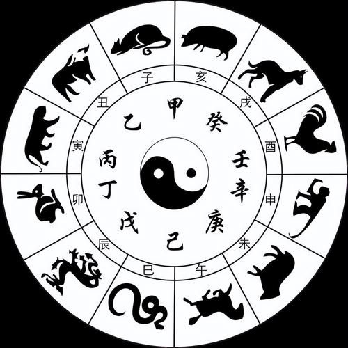 12生肖属相天干地支（12生肖对应的天干地支速查表）