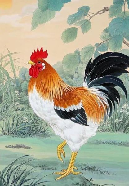 生肖鸡贵人属相（生肖鸡一生贵人属相有哪些）