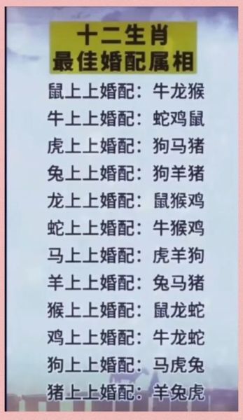 生肖属相女马男狗（女马男狗婚姻相配吗）