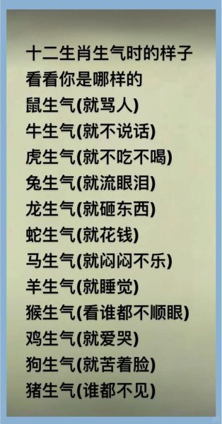 十二生肖属相梗（十二生肖梗图为什么火了🔥）