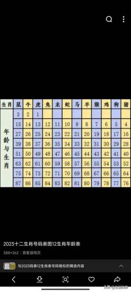 11年小孩属相是啥生肖（2011年出生的孩子属什么生肖）