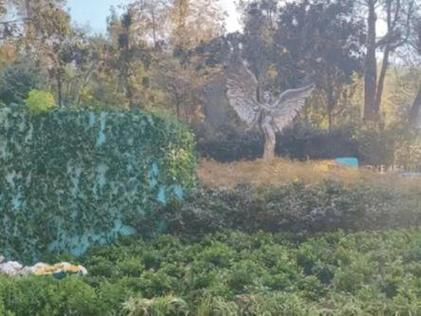 李玟老公属什么生肖属相（李玟老公属什么生肖🐯）