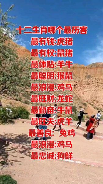 生肖哪个属相最厉害（哪个属相最厉害？看完秒懂）