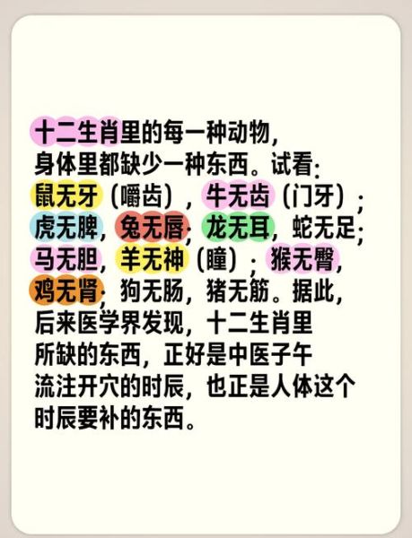 无胆的生肖属相（无胆生肖究竟是哪一个？）