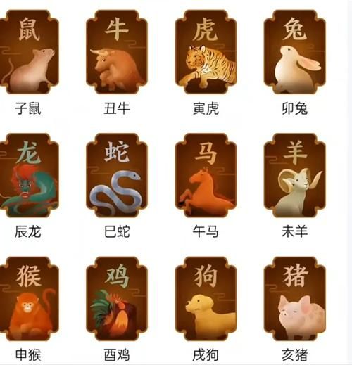 什么生肖是大属相（大属相有哪些生肖？新手秒懂排行榜）