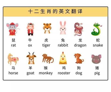 属相十二生肖怎么读英文(十二生肖英文读法全攻略)