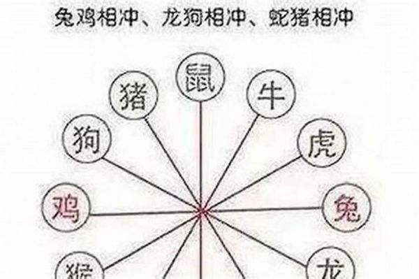 属相鼠怕什么生肖呢(属相鼠最怕什么生肖冲)