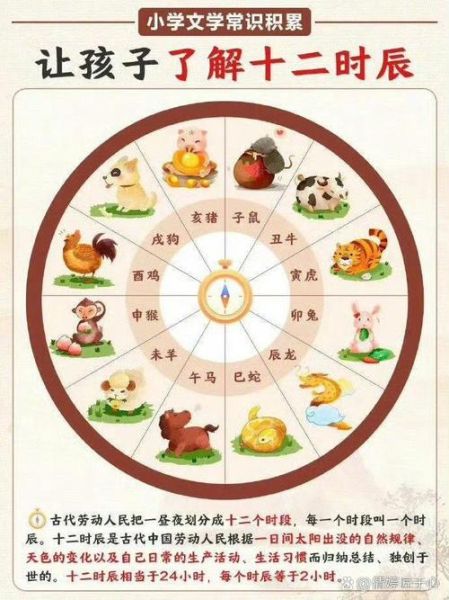 丑时属相是什么生肖（丑时属相是什么生肖？新手一看就懂）