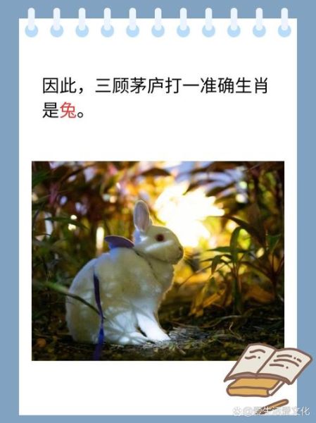 孔明属相什么生肖（孔明属相是什么生肖）