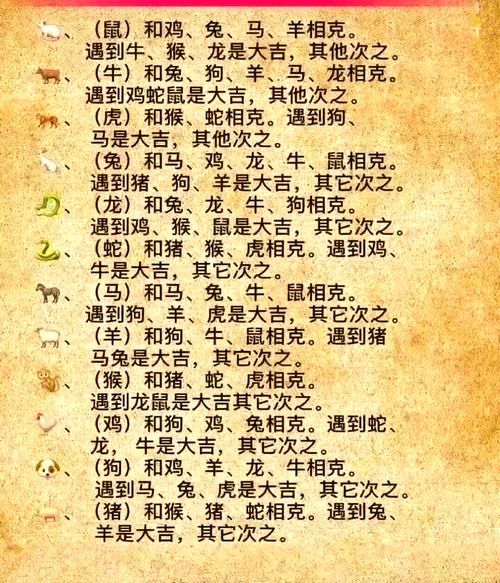 生肖属兔人的属相婚配表(属兔婚配最佳属相排行榜)