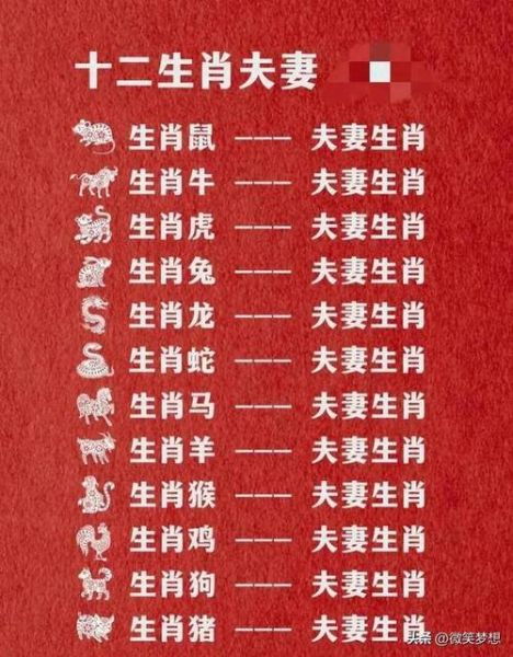 左右都有几个生肖属相配（左右肖配对照表怎么看）