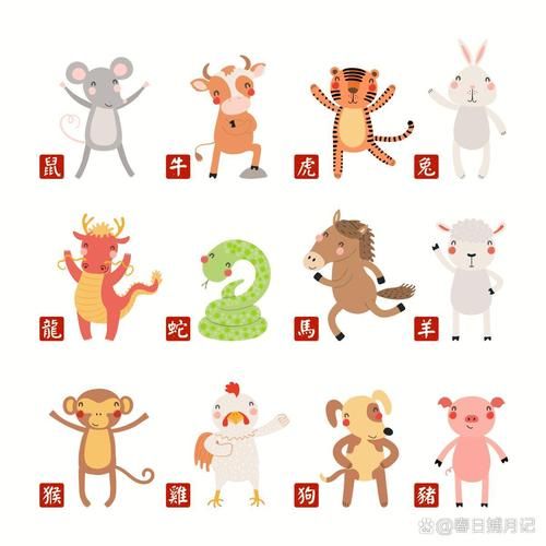 十二生肖属相卡点（十二生肖卡点怎么选？🐭🐮🐯看出生年份最靠谱）