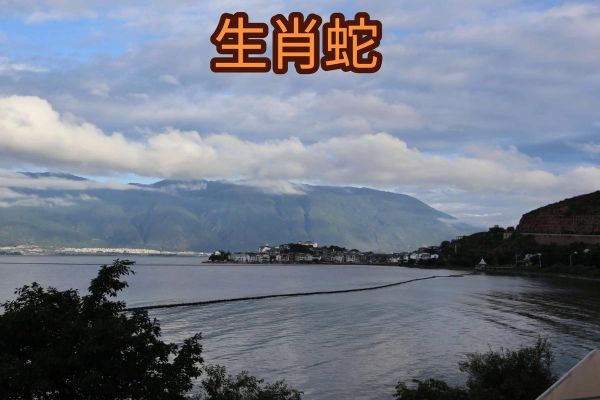 不怕蛇的生肖有哪些属相